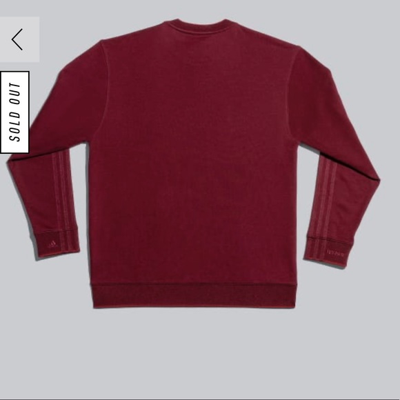 Ivy Park x Adidas Crewneck Sweatshirt - Picture 5 of 7